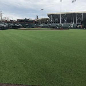 Meet your Posher, Jayden